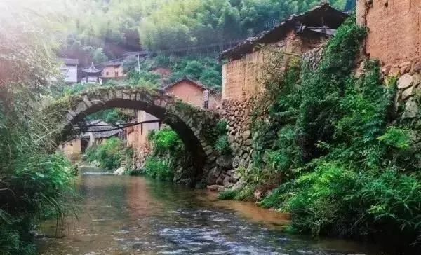 麗水·曼山居，依山而居便不知人間是何夕