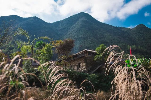 麗水·曼山居，依山而居便不知人間是何夕