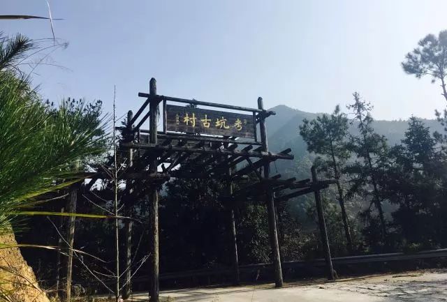 麗水·曼山居，依山而居便不知人間是何夕