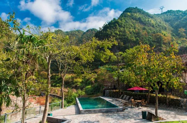 麗水·曼山居，依山而居便不知人間是何夕