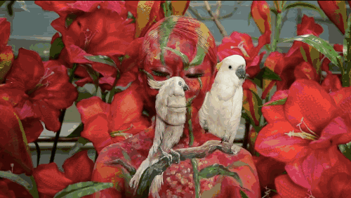 人體彩繪藝術：在皮膚上畫畫，美爆了!