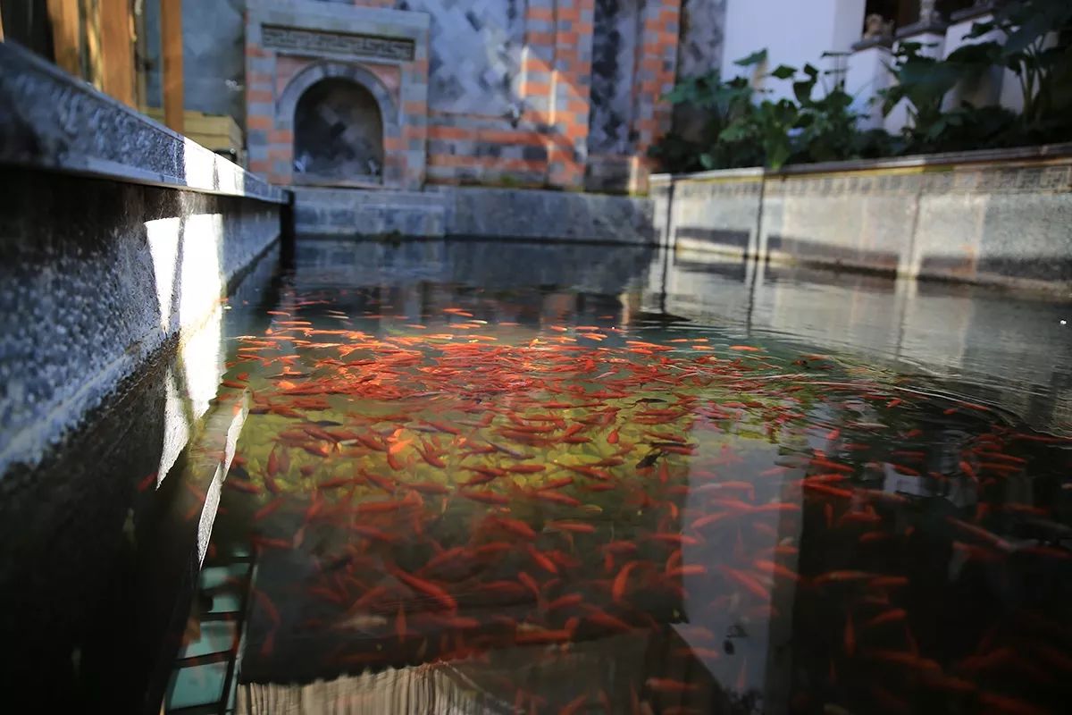 吾鄉(xiāng)尋幽·隱奢酒店，耐人尋味的歷史味的古宅