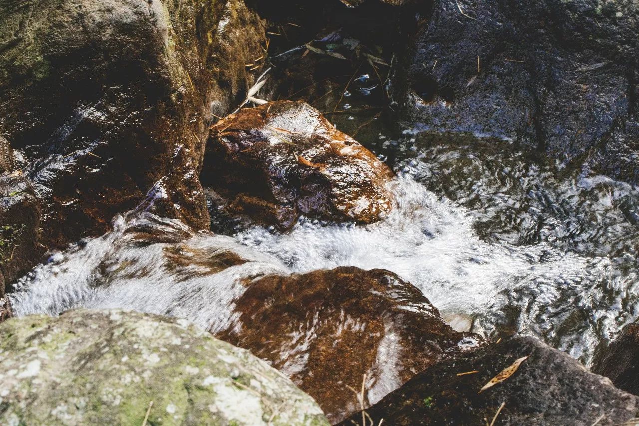 杭州·菩提谷，與你一起私有群山秘境