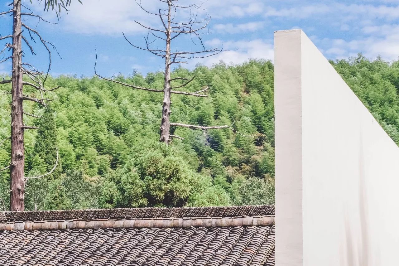 杭州·菩提谷，與你一起私有群山秘境