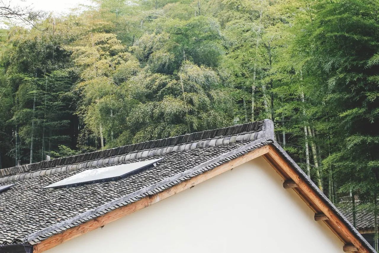 杭州·菩提谷，與你一起私有群山秘境