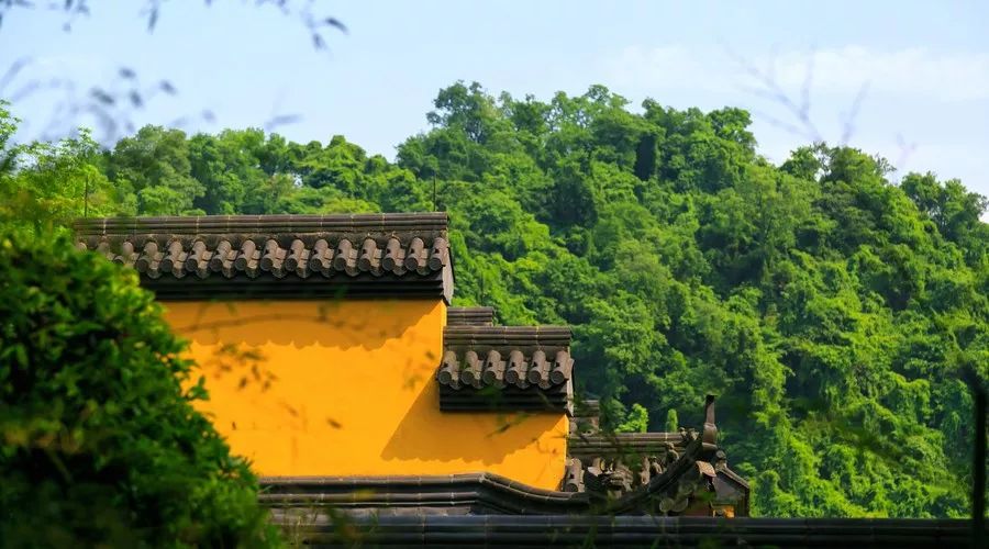 杭州·菩提谷，與你一起私有群山秘境