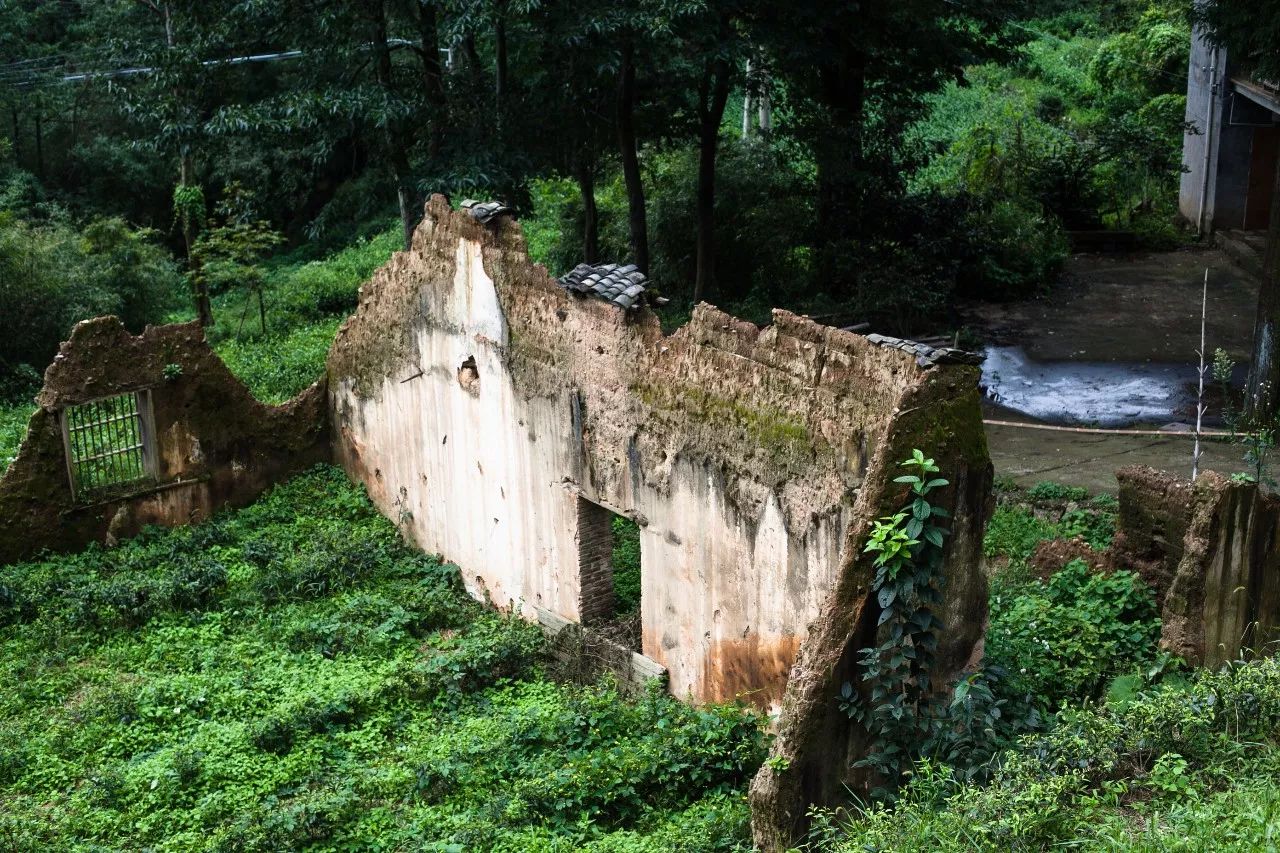 杭州·菩提谷，與你一起私有群山秘境
