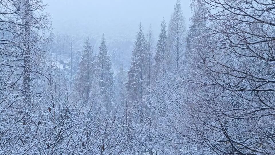 杭州·菩提谷，與你一起私有群山秘境
