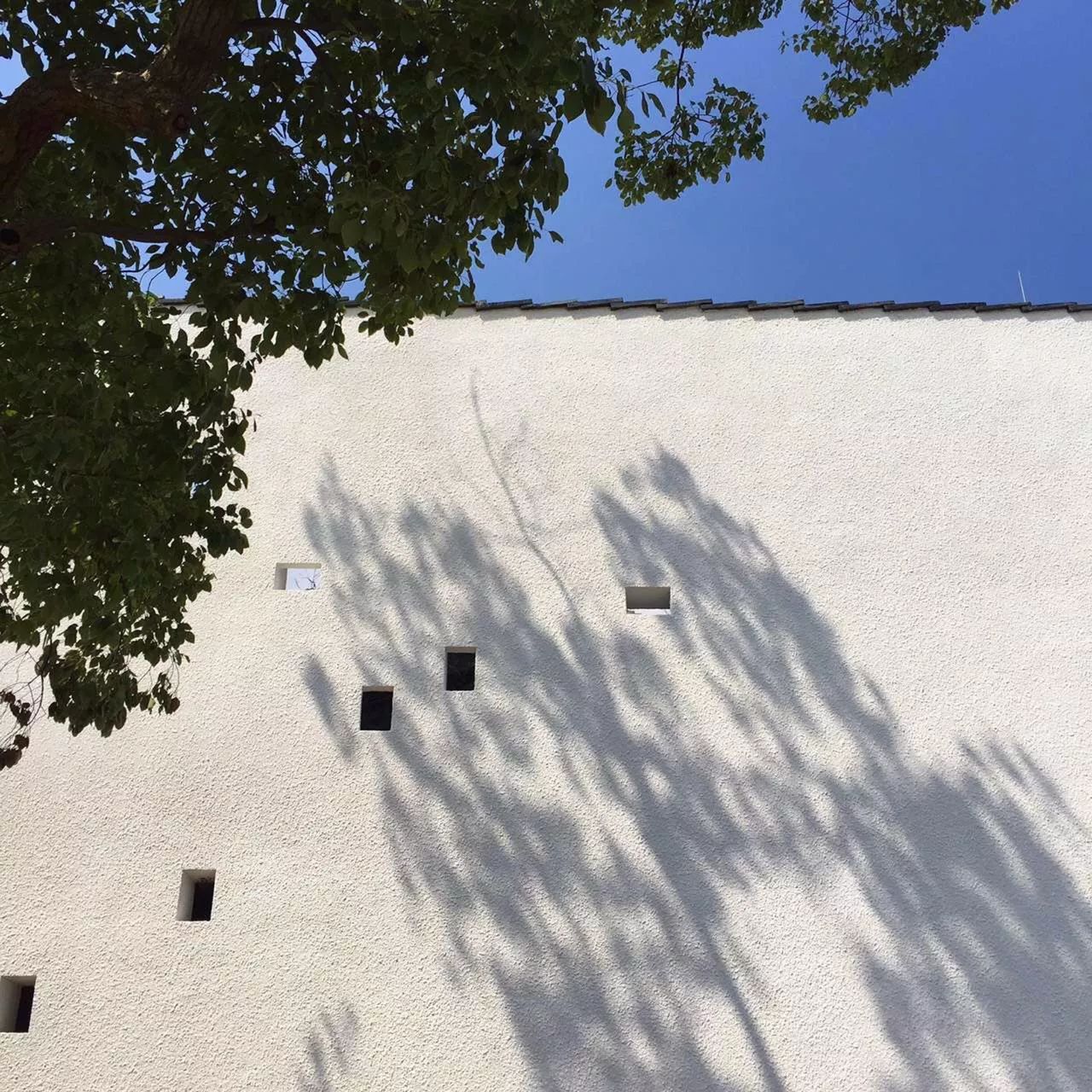 新中式建筑：望廬·一處徽派老宅的煥然新生！