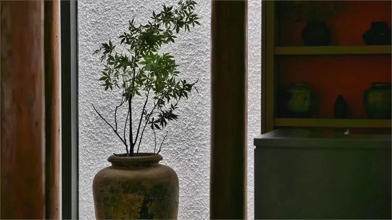 新中式建筑：望廬·一處徽派老宅的煥然新生！