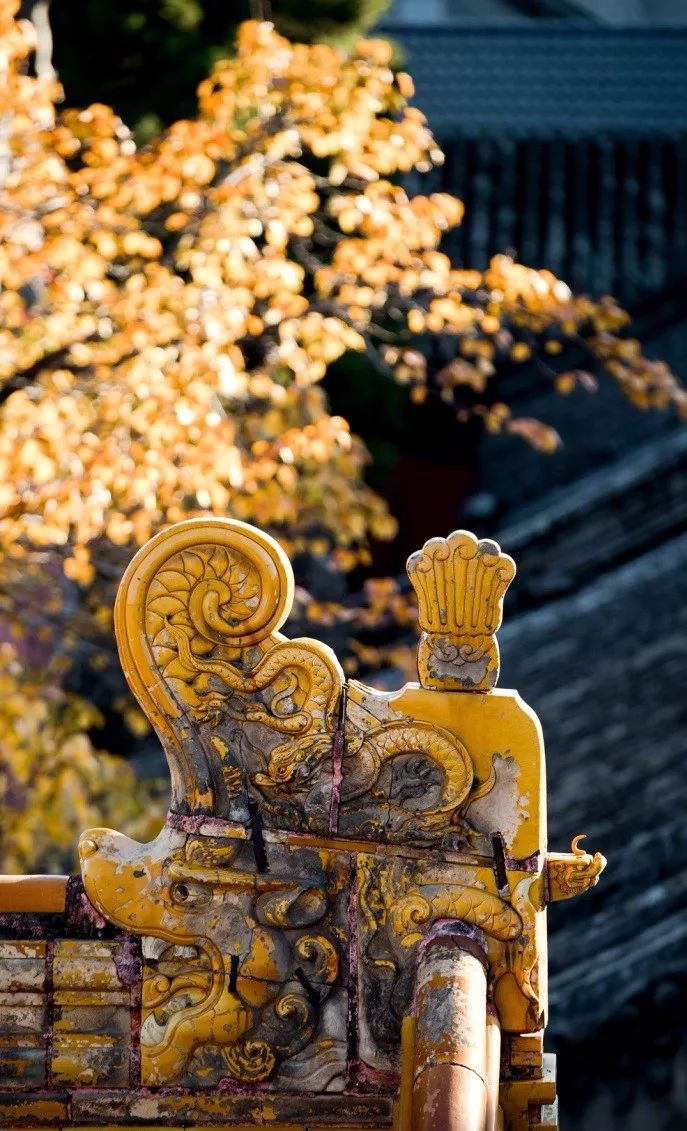 中國(guó)最美的配色：紫禁城古建筑的色彩美！