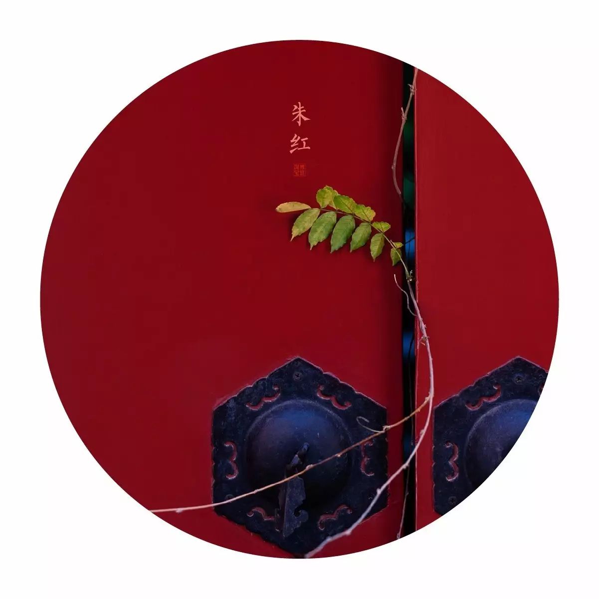 中國最美的配色：紫禁城古建筑的色彩美！