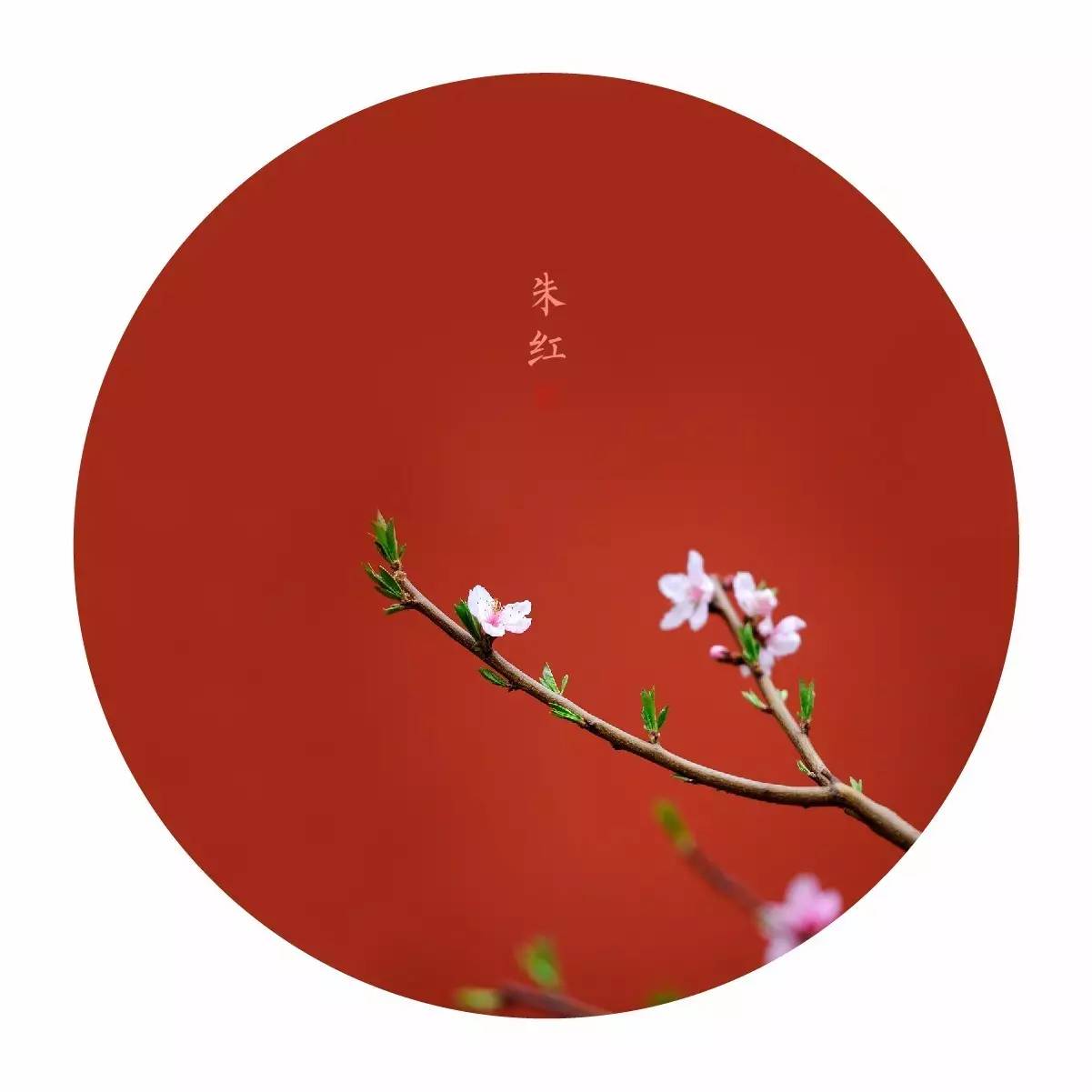 中國最美的配色：紫禁城古建筑的色彩美！