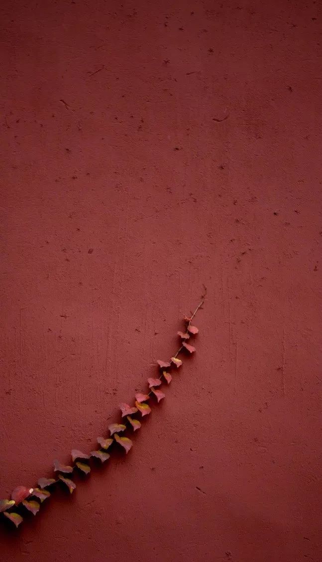 中國(guó)最美的配色：紫禁城古建筑的色彩美！