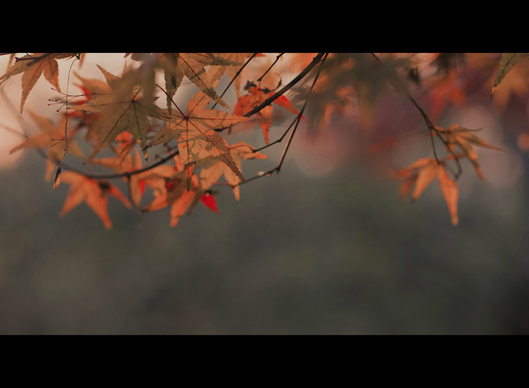 風(fēng)月·人像古裝攝影