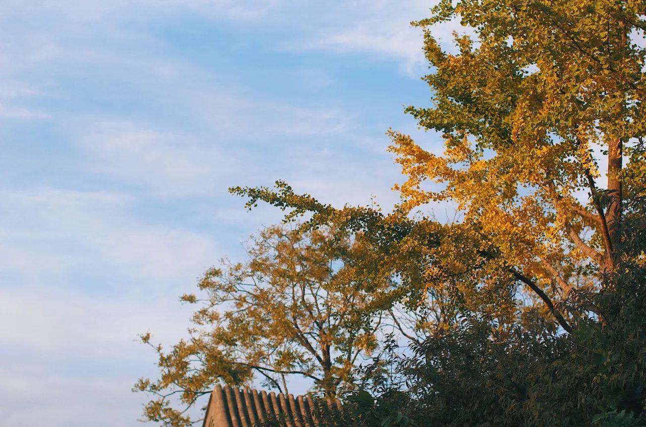 秋果·798店，愿你找回20年前的單純時光