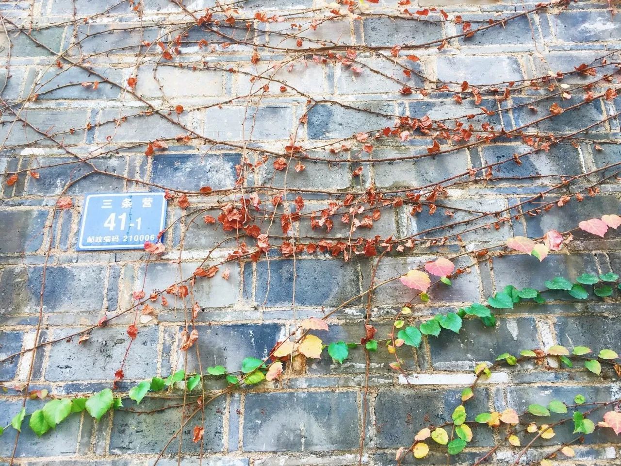 隱南·門東，有著金陵六朝古都的味道