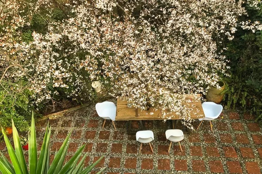 成都·肯派，把日子過成詩有酒有故事更有愛!