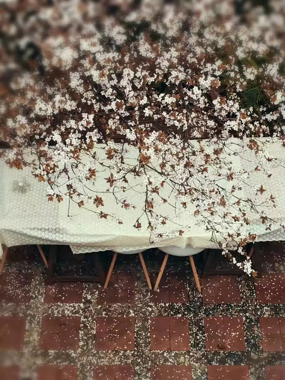 成都·肯派，把日子過(guò)成詩(shī)有酒有故事更有愛(ài)!