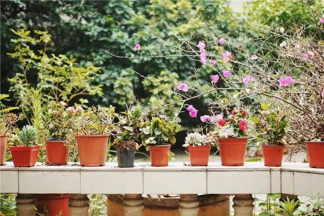 成都·肯派，把日子過成詩有酒有故事更有愛!