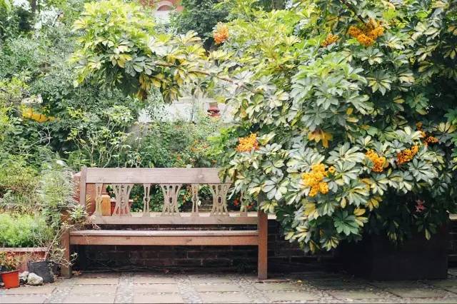 成都·肯派，把日子過成詩有酒有故事更有愛!