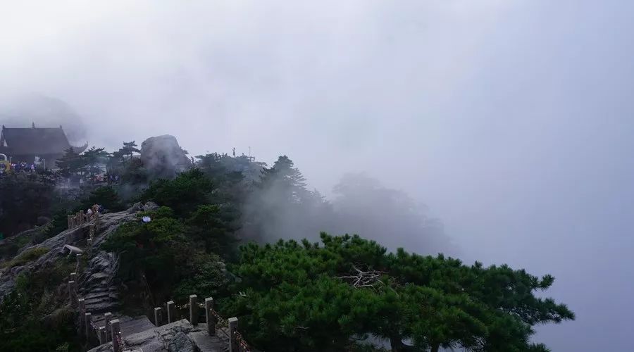 九華山·清竹里，延續(xù)和分享茶文化禪文化