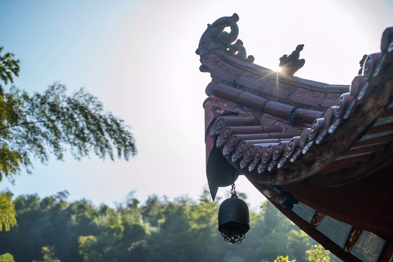 九華山·清竹里，延續(xù)和分享茶文化禪文化