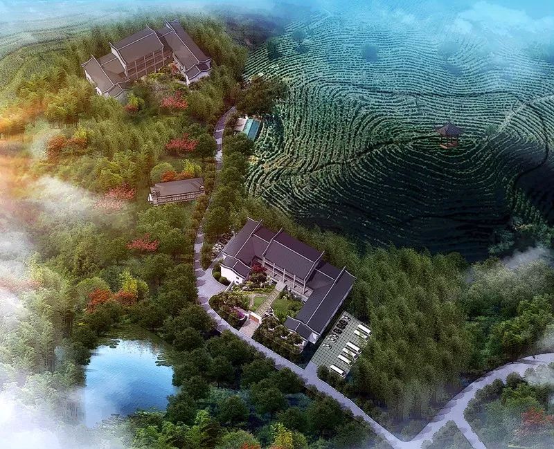 九華山·清竹里，延續(xù)和分享茶文化禪文化