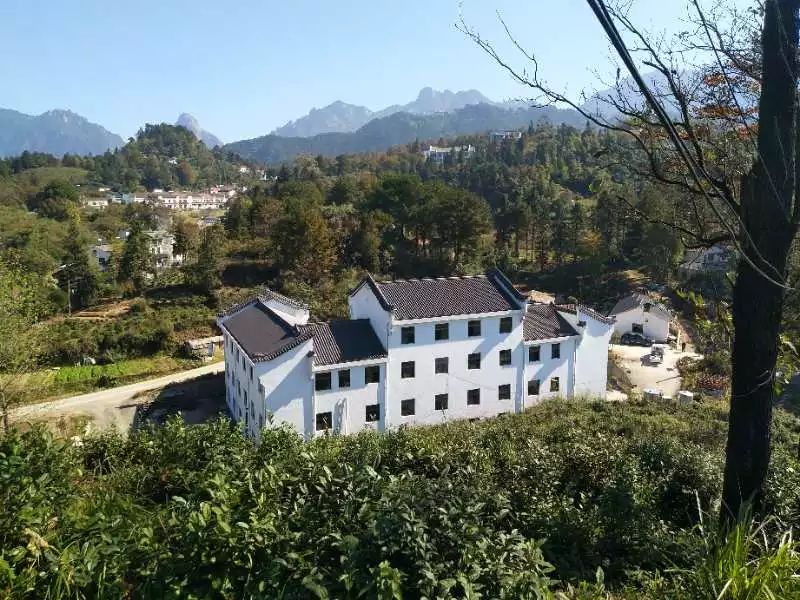 九華山·清竹里，延續(xù)和分享茶文化禪文化