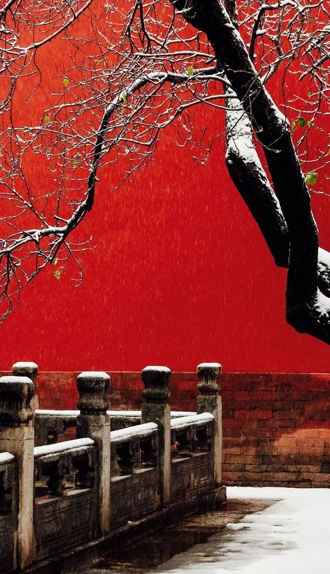 最美中國(guó)古建筑：紫禁城下雪了！