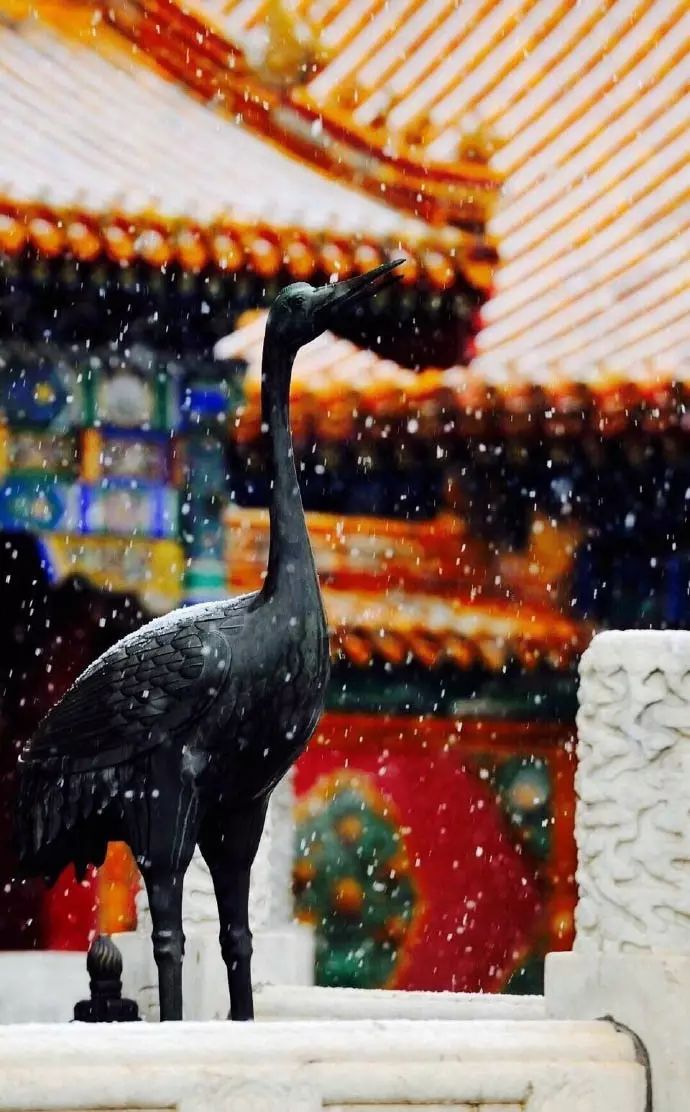 最美中國古建筑：紫禁城下雪了！