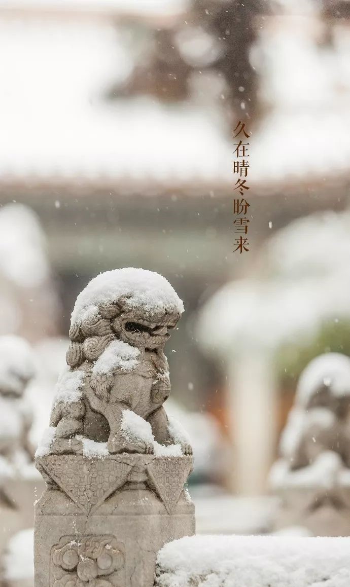 最美中國古建筑：紫禁城下雪了！