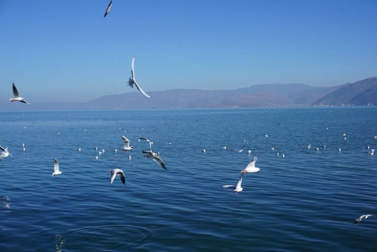 大理·胡思年月海景度假客棧，人間處處是道場(chǎng)