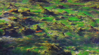 麗江·花田月舍，愿在某個瞬間尋回自己的初心