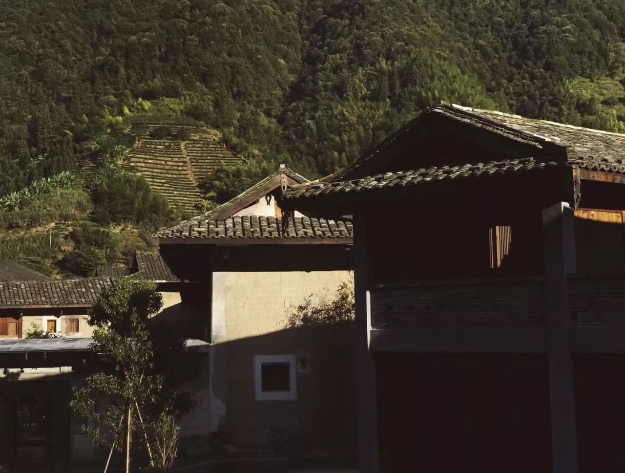 漳州·云水謠讀旅，充滿力量的福建土樓！