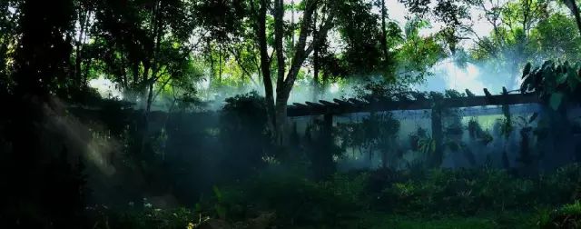 西盟·普洱民宿，偷得浮生半日閑心情半佛半神仙