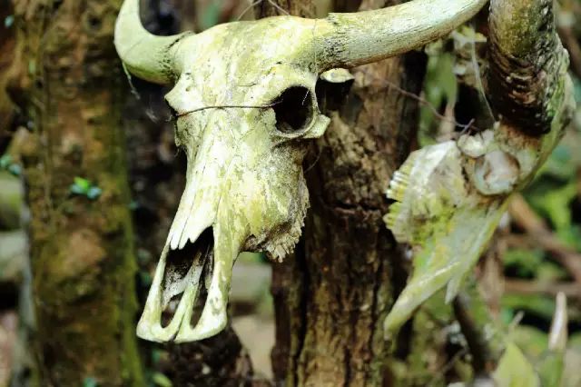 西盟·普洱民宿，偷得浮生半日閑心情半佛半神仙