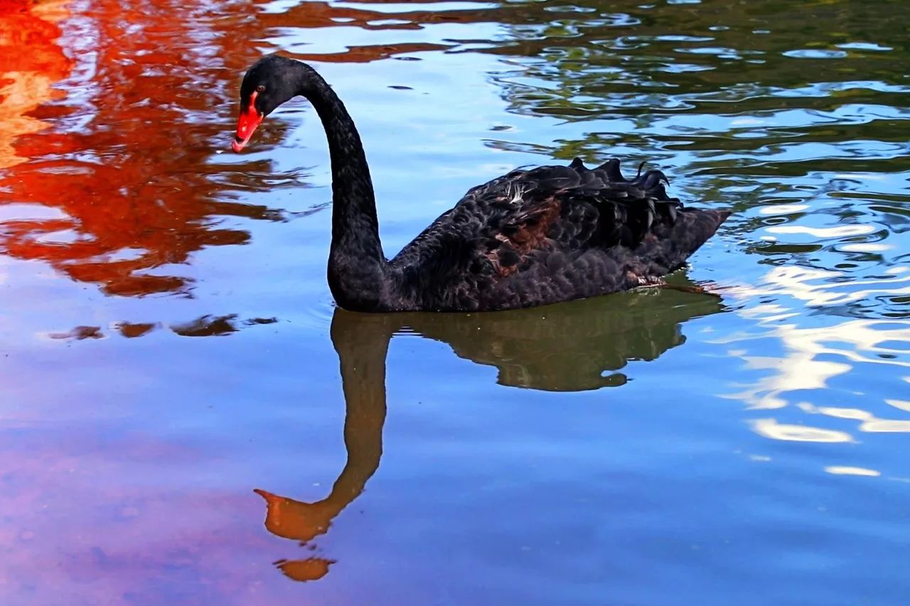 西盟·普洱民宿，偷得浮生半日閑心情半佛半神仙