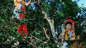 西盟·普洱民宿，偷得浮生半日閑心情半佛半神仙