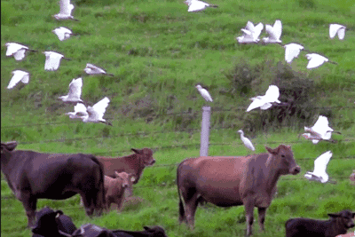 西盟·普洱民宿，偷得浮生半日閑心情半佛半神仙