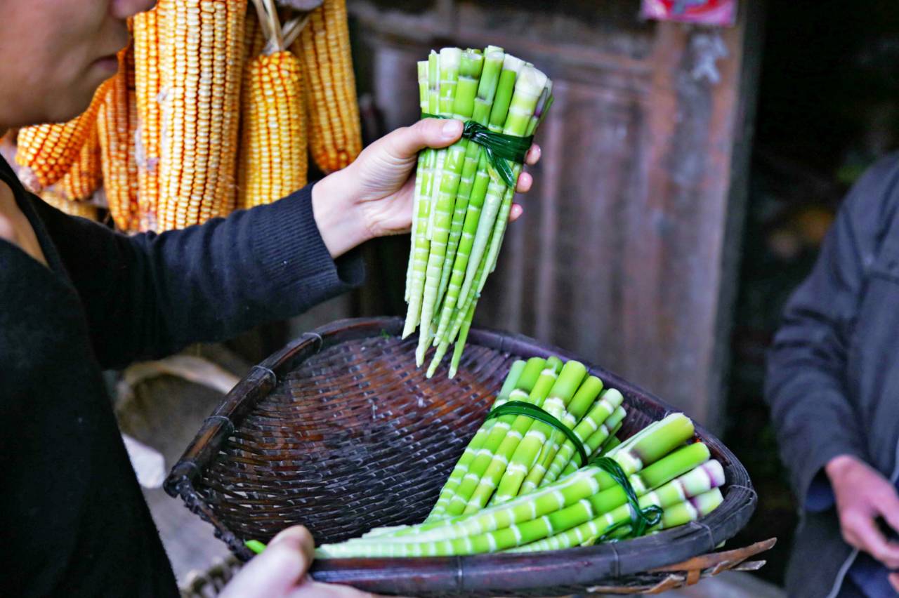 路之青城，在應(yīng)該努力的年紀(jì)留下精彩的痕跡！