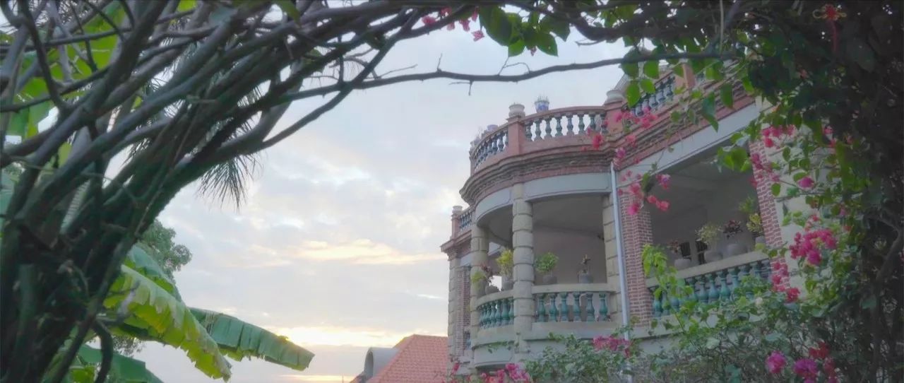 廈門·春草芬芳，體驗(yàn)面朝大海沐浴星辰的愜意芬