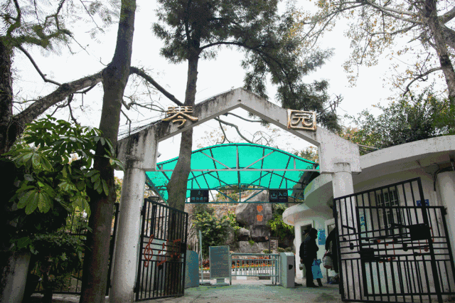 廈門·春草芬芳，體驗面朝大海沐浴星辰的愜意芬