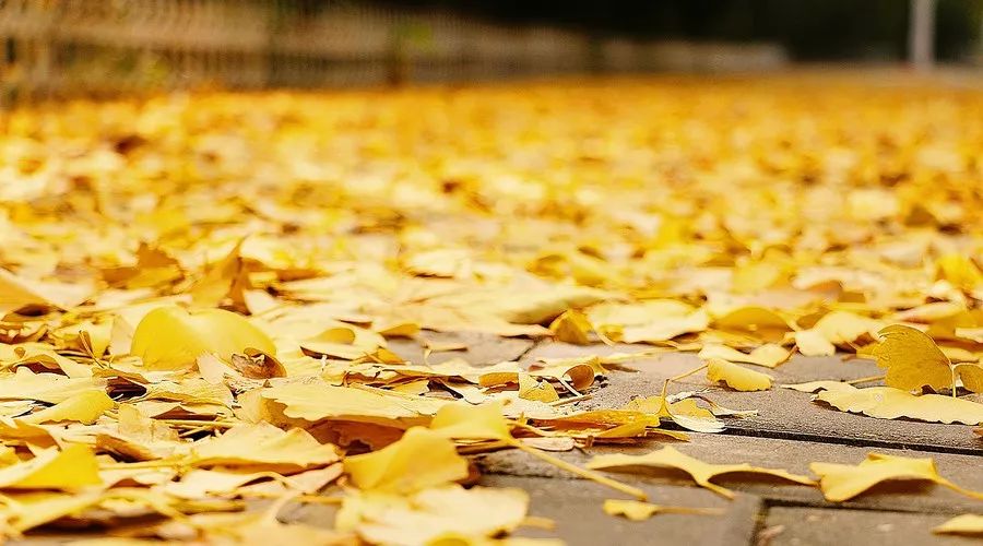 松陽·蔦舍，江南秘境里最溫暖的落腳處