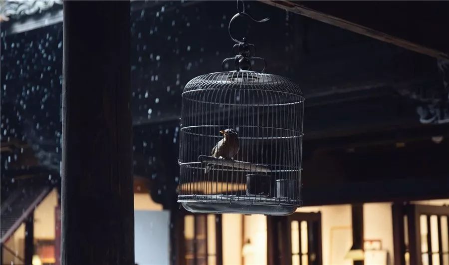 松陽·蔦舍，江南秘境里最溫暖的落腳處