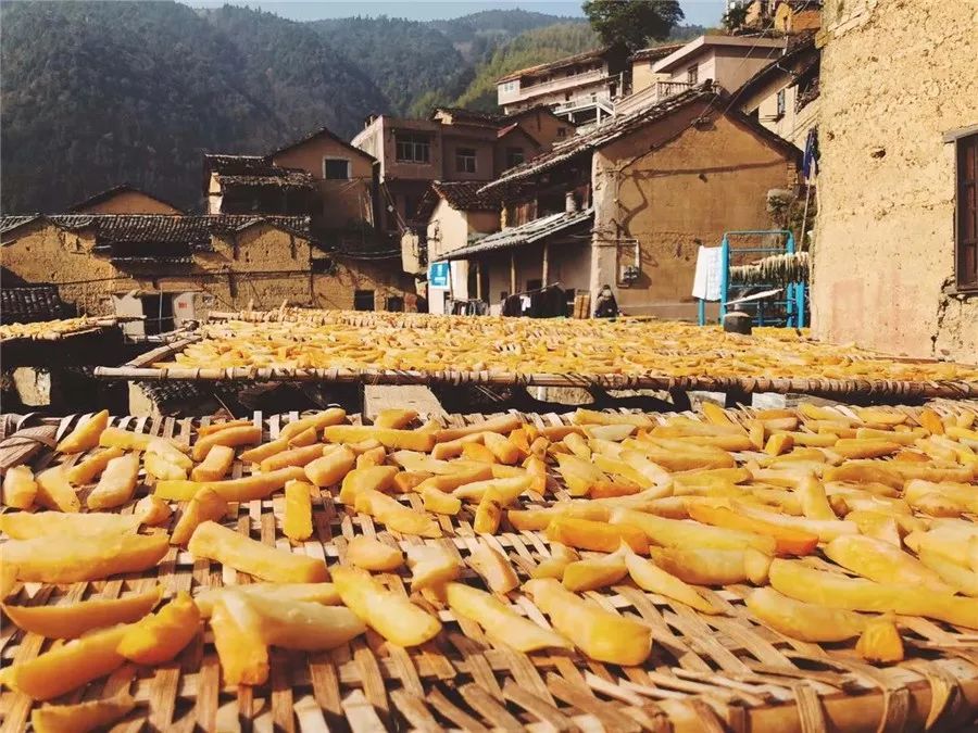 松陽·蔦舍，江南秘境里最溫暖的落腳處