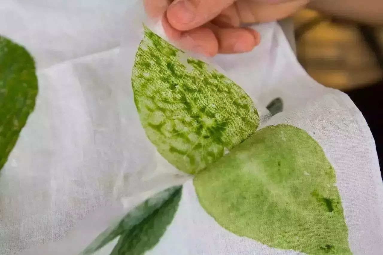 松陽(yáng)·蔦舍，江南秘境里最溫暖的落腳處