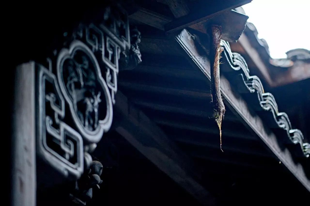 松陽(yáng)·蔦舍，江南秘境里最溫暖的落腳處