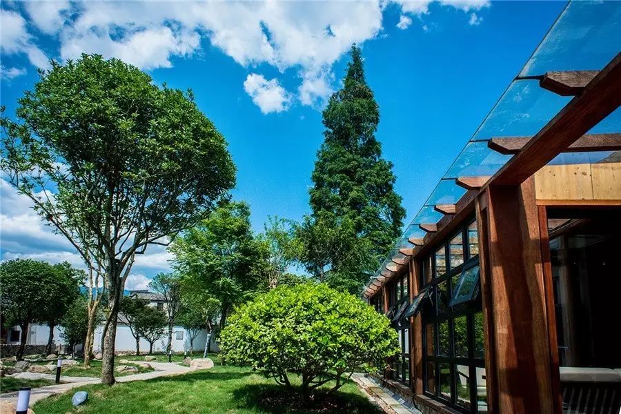 松陽(yáng)·蔦舍，江南秘境里最溫暖的落腳處