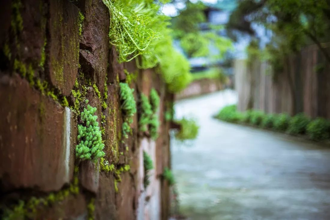 成都·瓦舍：4個(gè)景點(diǎn)吃喝玩樂(lè)體驗(yàn)成都從容氣息